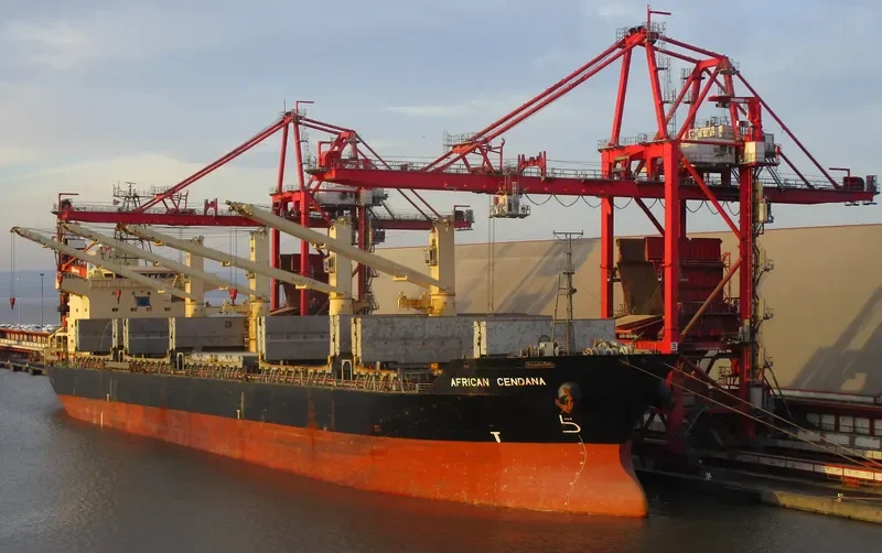 CENDANA Bulk Carrier IMO 9263071 photo 8