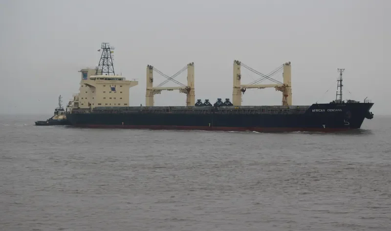CENDANA Bulk Carrier IMO 9263071 photo 10