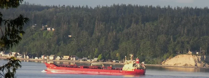 BUM SHIN Tanker IMO 9263095 photo 8