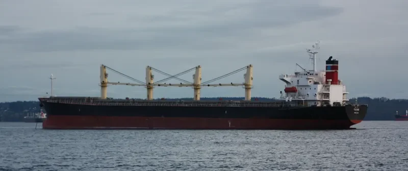 TIGRIS Bulk Carrier IMO 9263112 photo 7