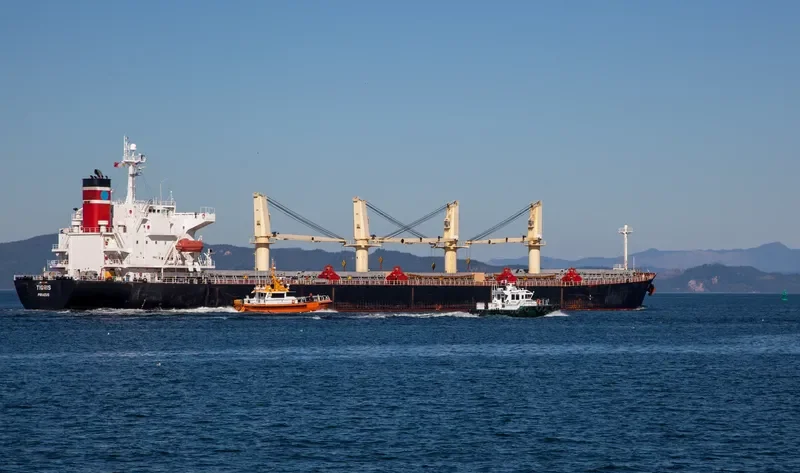 TIGRIS Bulk Carrier IMO 9263112 photo 8