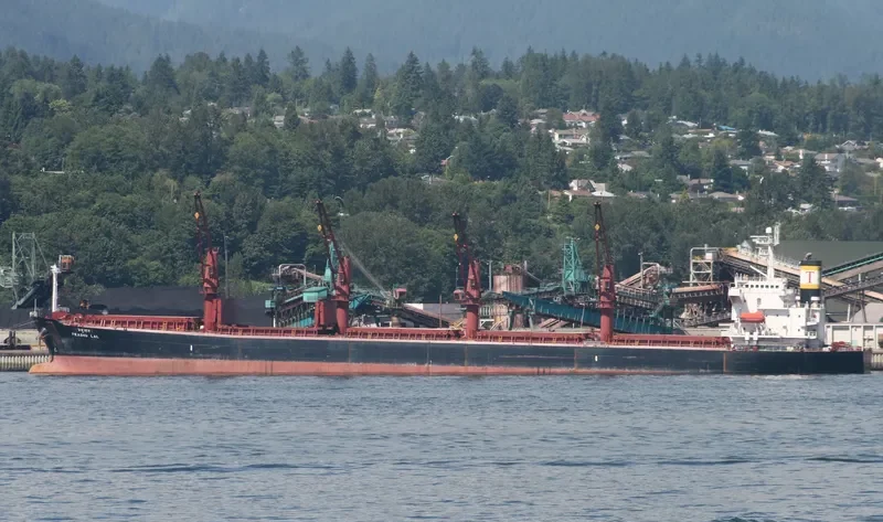 PRABHU LAL Bulk Carrier IMO 9263124 photo 7