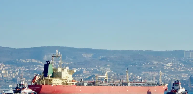 MOUNT MCKINNEY Tanker IMO 9263174 photo 8