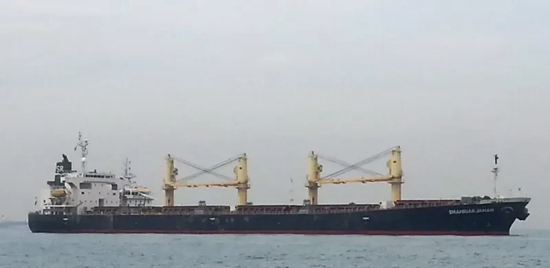 SHAHRIAR JAHAN Bulk Carrier IMO 9263239 photo 2