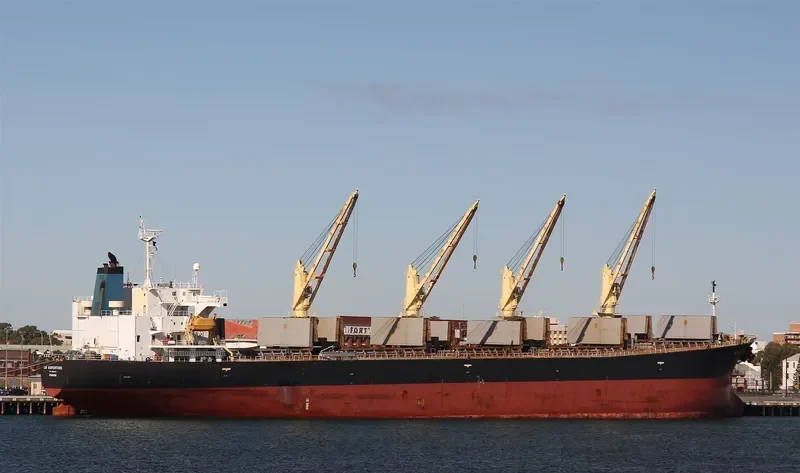 SHAHRIAR JAHAN Bulk Carrier IMO 9263239 photo 5