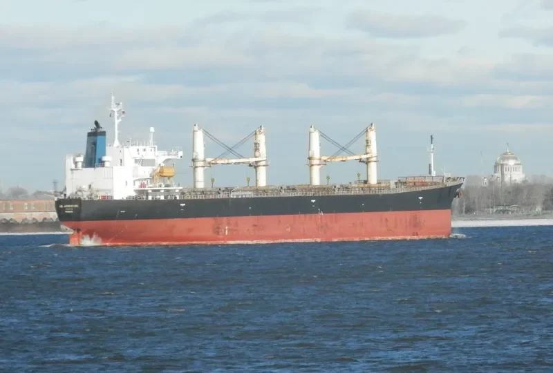 SHAHRIAR JAHAN Bulk Carrier IMO 9263239 photo 6