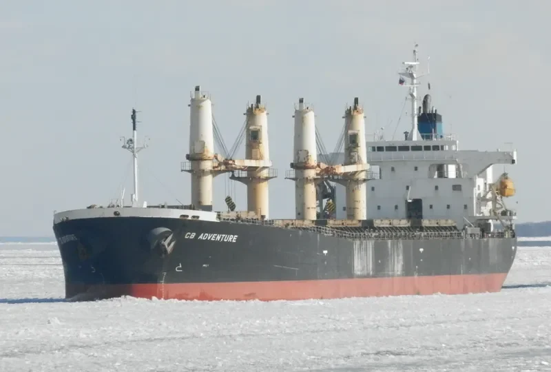 SHAHRIAR JAHAN Bulk Carrier IMO 9263239 photo 7