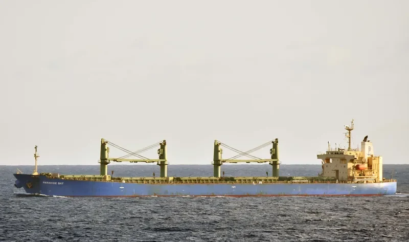 ELANORA Bulk Carrier IMO 9263241