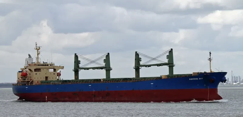 ELANORA Bulk Carrier IMO 9263241 photo 2