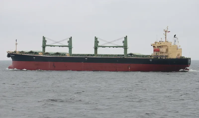 ELANORA Bulk Carrier IMO 9263241 photo 4