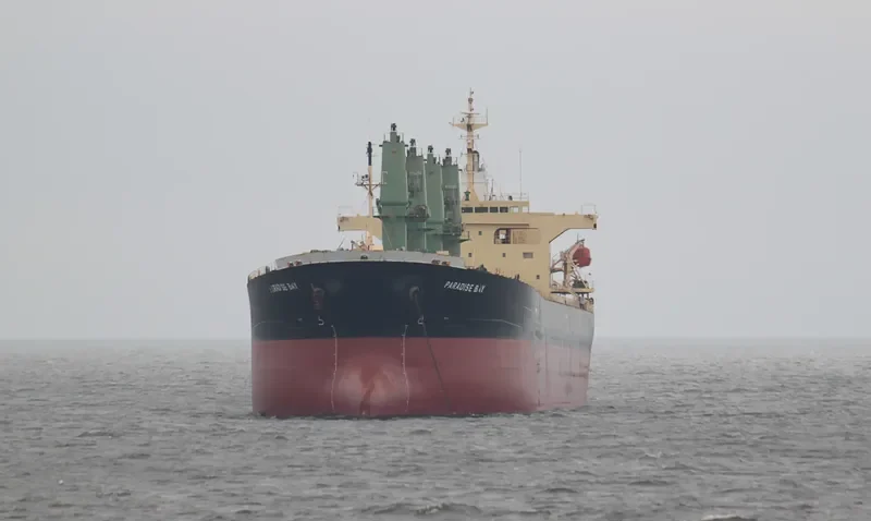 ELANORA Bulk Carrier IMO 9263241 photo 5