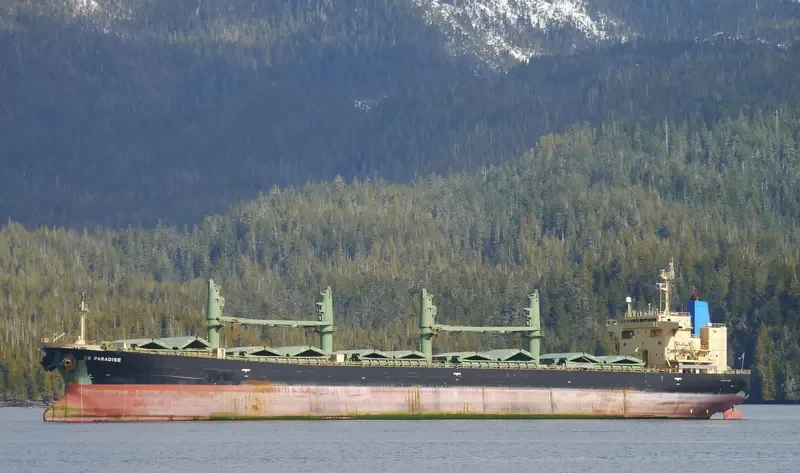 ELANORA Bulk Carrier IMO 9263241 photo 6