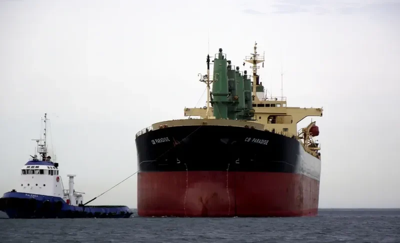 ELANORA Bulk Carrier IMO 9263241 photo 7