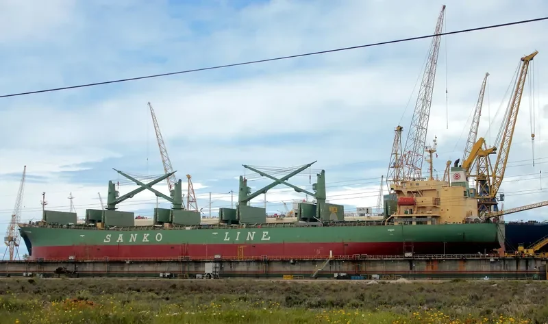 ELANORA Bulk Carrier IMO 9263241 photo 8