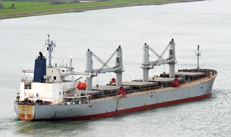 ANITA Bulk Carrier IMO 9263253