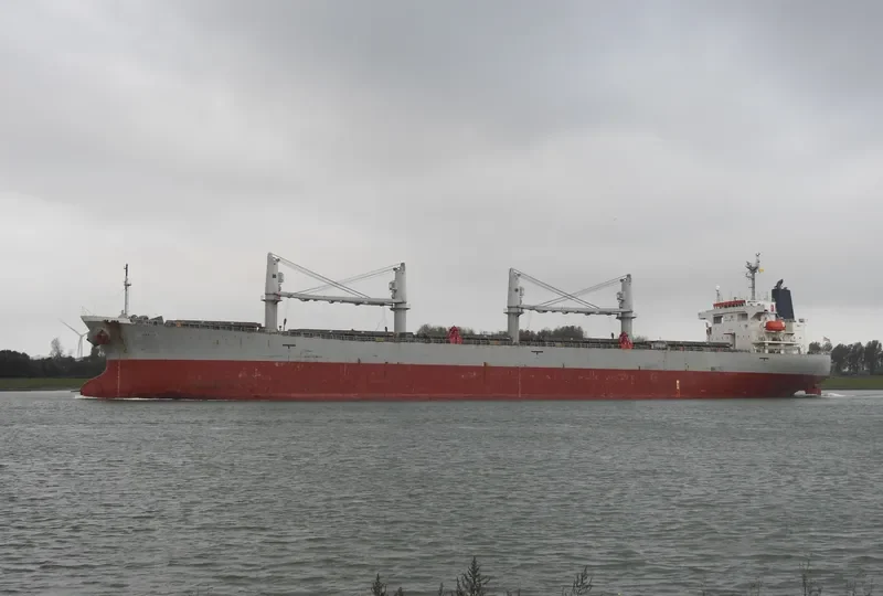 ANITA Bulk Carrier IMO 9263253 photo 2