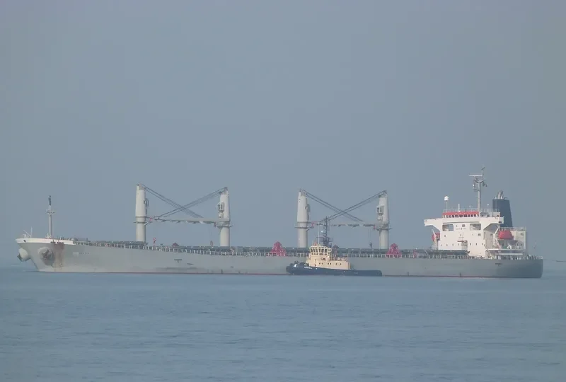 ANITA Bulk Carrier IMO 9263253 photo 6