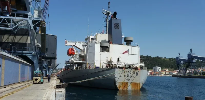 ANITA Bulk Carrier IMO 9263253 photo 7