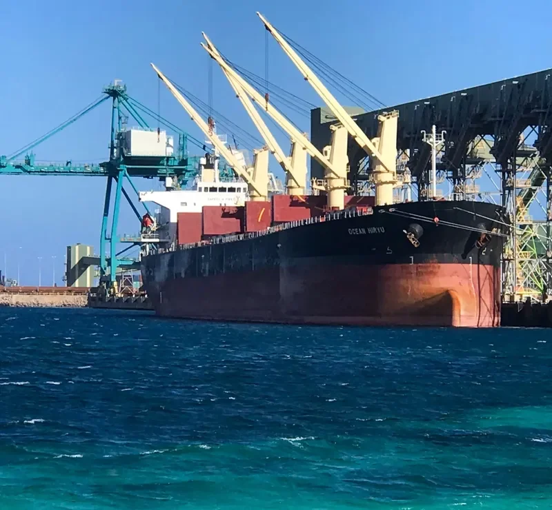 OCEAN HIRYU Bulk Carrier IMO 9263265