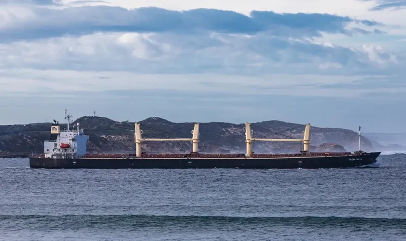 OCEAN HIRYU Bulk Carrier IMO 9263265 photo 2
