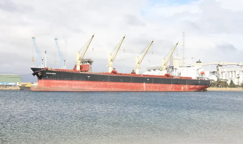 OCEAN HIRYU Bulk Carrier IMO 9263265 photo 3
