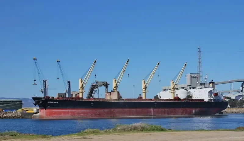 OCEAN HIRYU Bulk Carrier IMO 9263265 photo 4