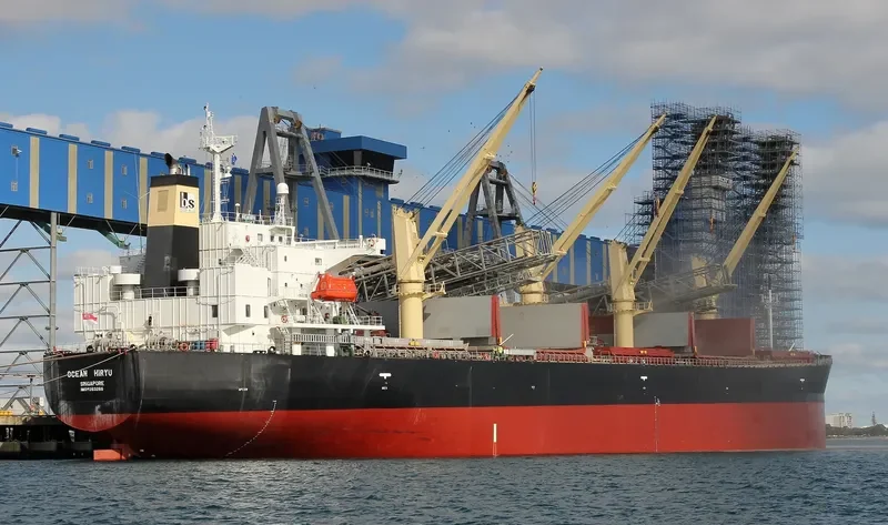 OCEAN HIRYU Bulk Carrier IMO 9263265 photo 5