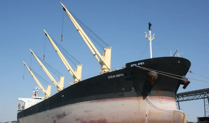OCEAN HIRYU Bulk Carrier IMO 9263265 photo 6