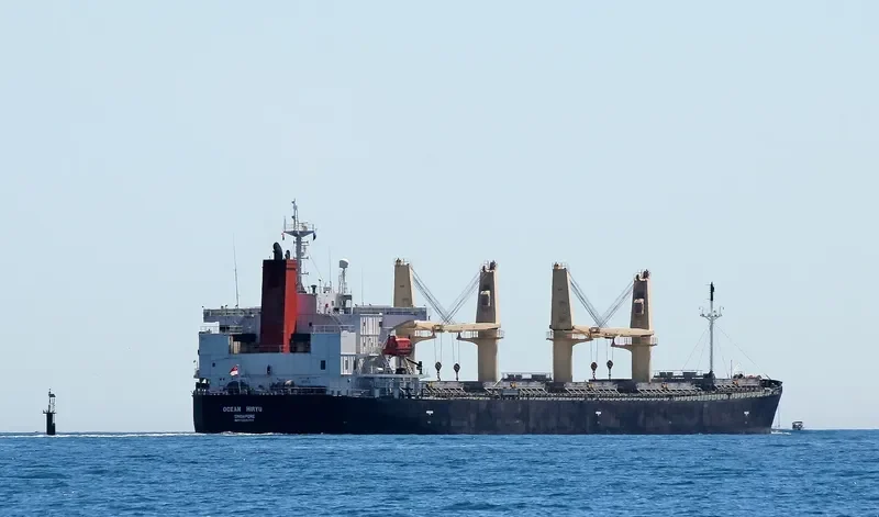 OCEAN HIRYU Bulk Carrier IMO 9263265 photo 7