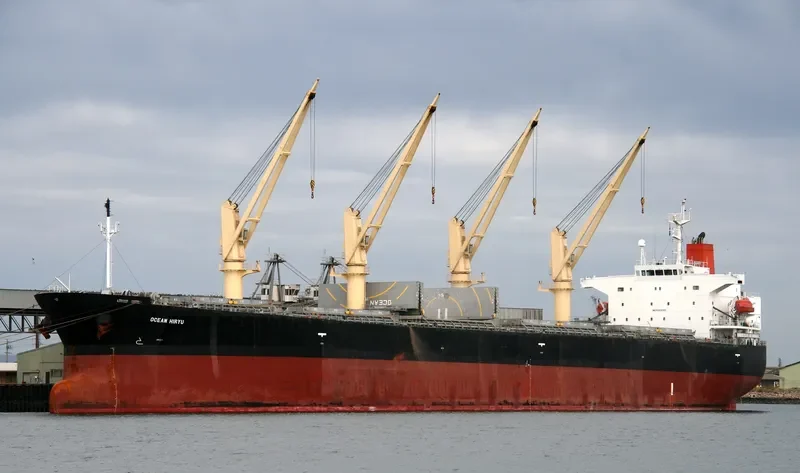 OCEAN HIRYU Bulk Carrier IMO 9263265 photo 8