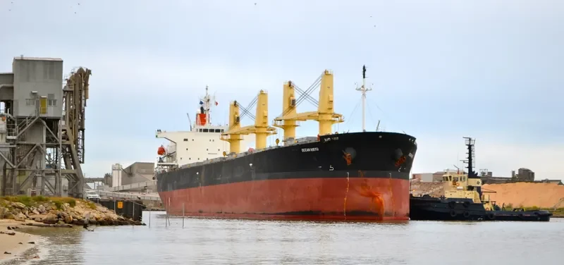 OCEAN HIRYU Bulk Carrier IMO 9263265 photo 9