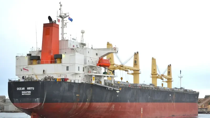 OCEAN HIRYU Bulk Carrier IMO 9263265 photo 10