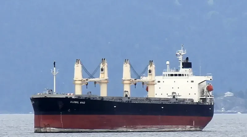 LUMOSO AMAN Bulk Carrier IMO 9263277 photo 3