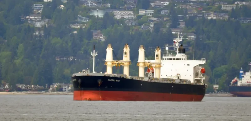 LUMOSO AMAN Bulk Carrier IMO 9263277 photo 7