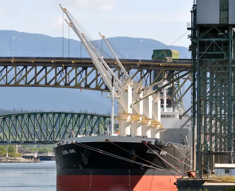 LUMOSO AMAN Bulk Carrier IMO 9263277 photo 9