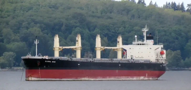 LUMOSO AMAN Bulk Carrier IMO 9263277 photo 10
