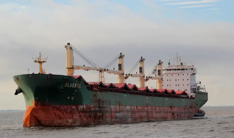 BLUEBILL Bulk Carrier IMO 9263306