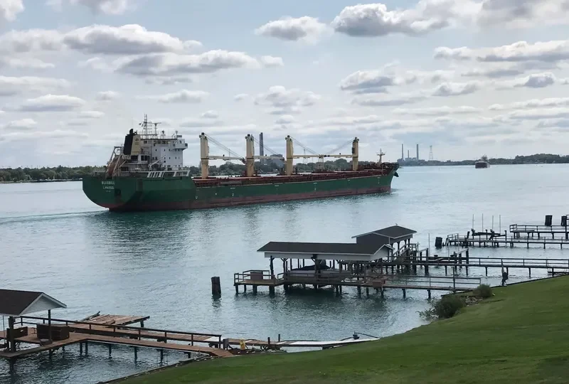 BLUEBILL Bulk Carrier IMO 9263306 photo 2