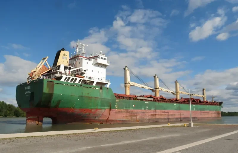 BLUEBILL Bulk Carrier IMO 9263306 photo 3