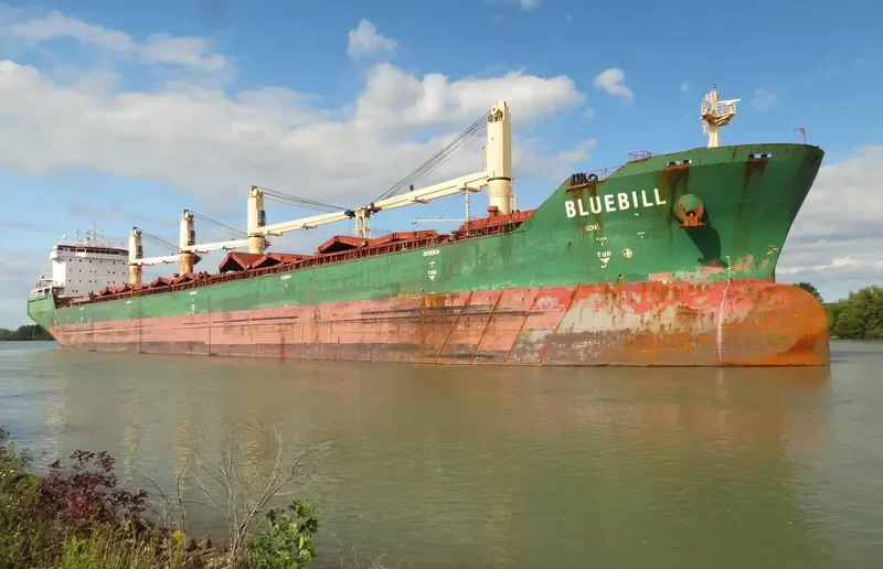 BLUEBILL Bulk Carrier IMO 9263306 photo 4