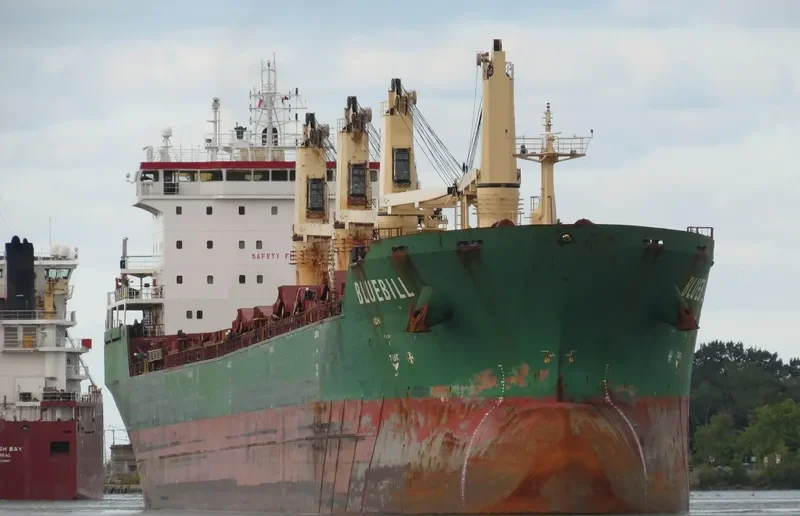 BLUEBILL Bulk Carrier IMO 9263306 photo 5