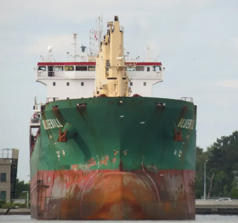 BLUEBILL Bulk Carrier IMO 9263306 photo 7