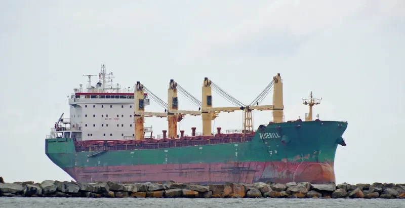 BLUEBILL Bulk Carrier IMO 9263306 photo 8