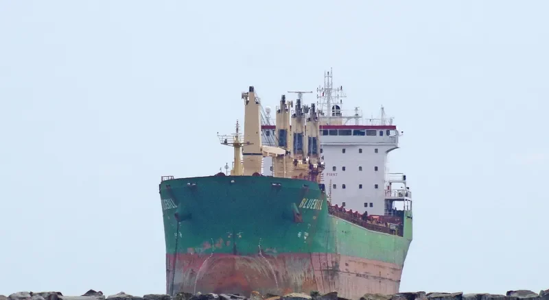 BLUEBILL Bulk Carrier IMO 9263306 photo 9