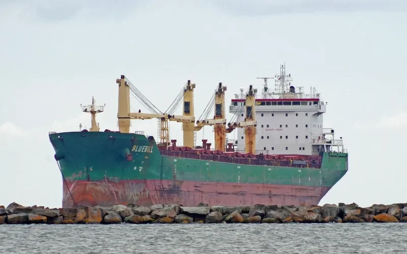 BLUEBILL Bulk Carrier IMO 9263306 photo 10