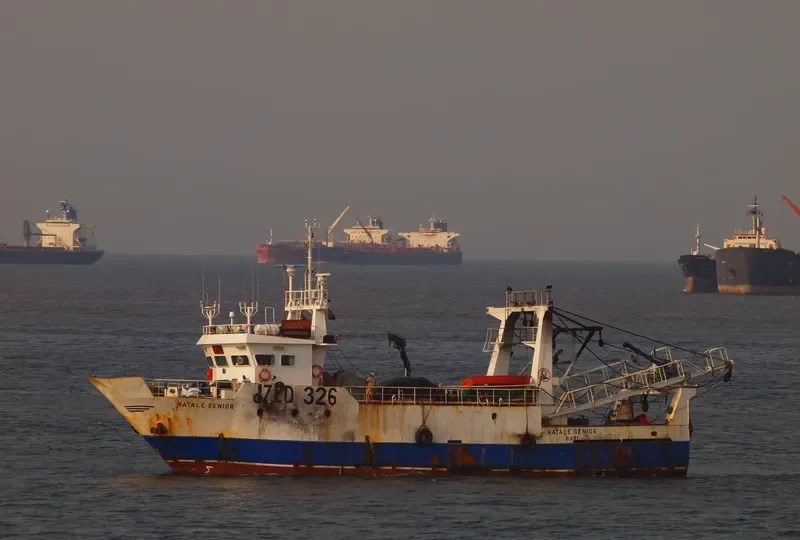 NATALE SENIOR General Cargo IMO 9263435