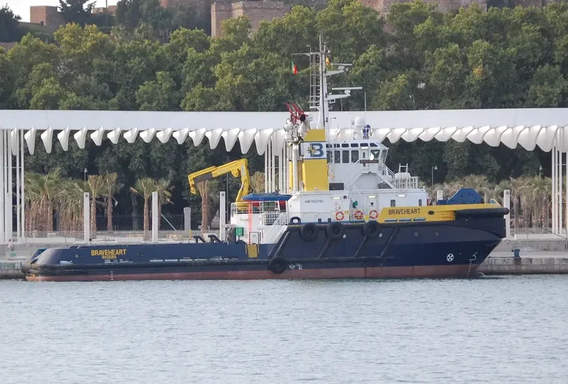 BRAVEHEART General Cargo IMO 9263461 photo 5