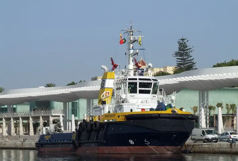 BRAVEHEART General Cargo IMO 9263461 photo 6