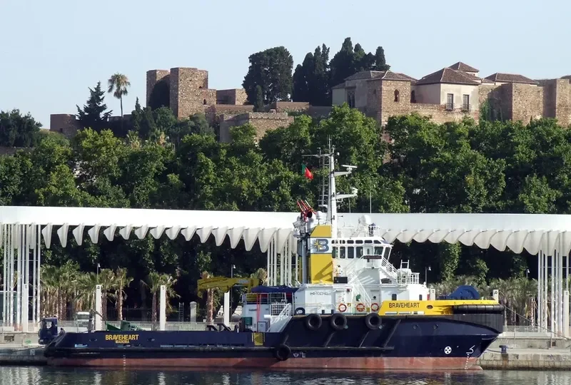 BRAVEHEART General Cargo IMO 9263461 photo 7