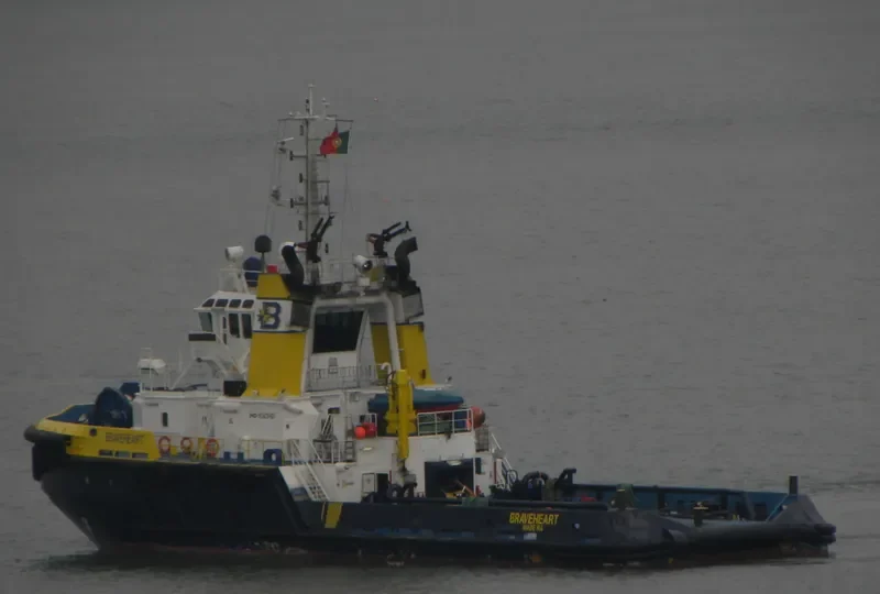BRAVEHEART General Cargo IMO 9263461 photo 8